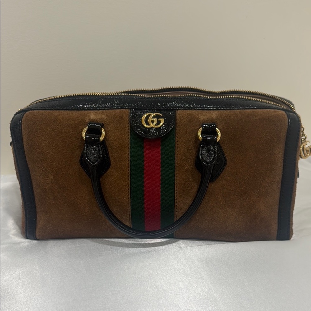 Gucci Brown and Black Bag